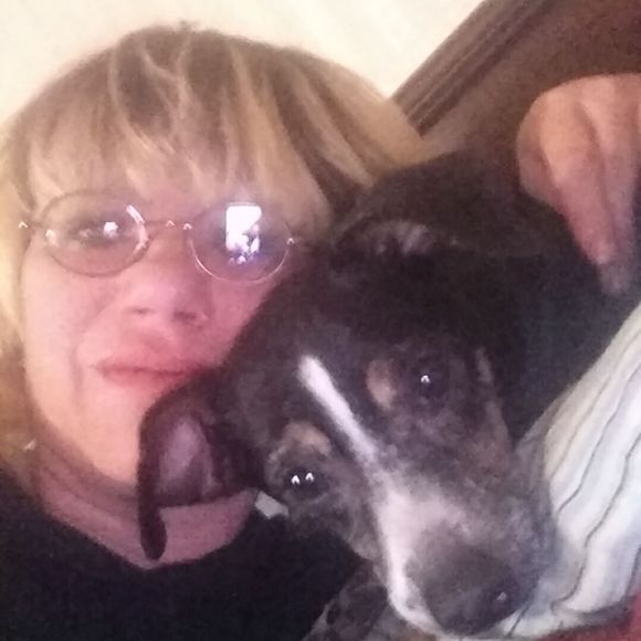 Meet your Posher, Amy - Picture 1 of 1